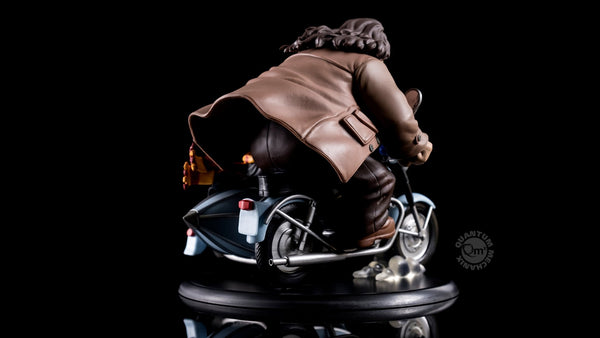 QMx Harry Potter and Rubeus Hagrid Q-Fig MAX Diorama Figure, Popular Characters- Have a Blast Toys & Games