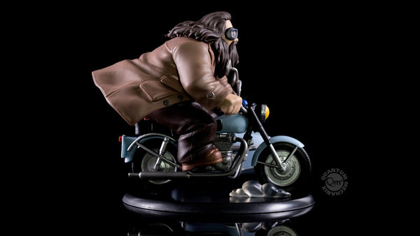 QMx Harry Potter and Rubeus Hagrid Q-Fig MAX Diorama Figure, Popular Characters- Have a Blast Toys & Games