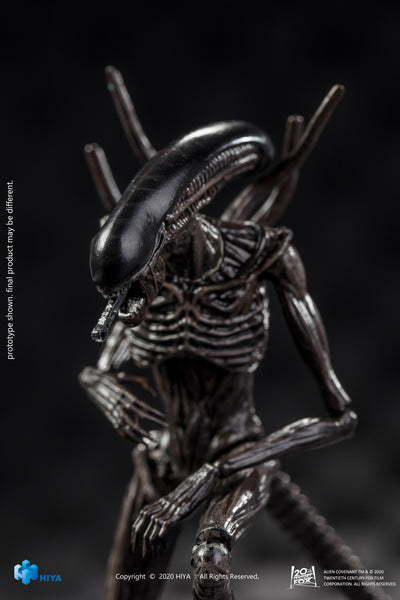 Hiya Toys Alien Covenant Xenomorph Exquisite Mini 1/18 Scale Figure