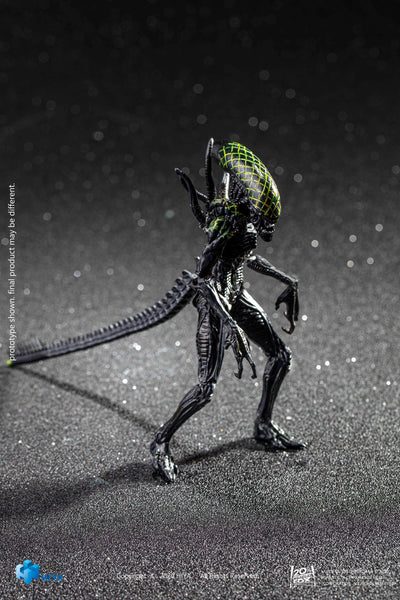 Hiya Toys AvP Alien vs Predator Grid Alien Warrior Exquisite Mini 1/18 Scale Figure