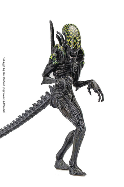 Hiya Toys AvP Alien vs Predator Grid Alien Warrior Exquisite Mini 1/18 Scale Figure