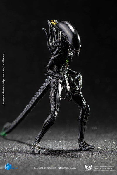 Hiya Toys AvP Aliens vs Predator Blowout Alien Warrior 1/18 Scale Figure