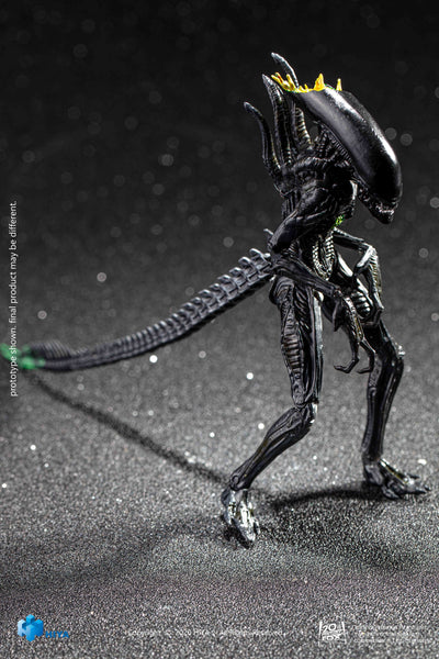 Hiya Toys AvP Aliens vs Predator Blowout Alien Warrior 1/18 Scale Figure
