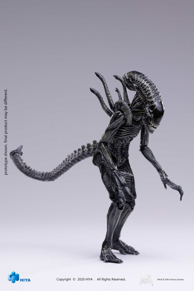 Hiya Toys AvP Alien vs Predator Requiem Xeno Warrior 1/18 Scale Figure