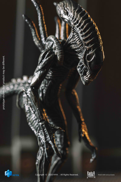 Hiya Toys AvP Alien vs Predator Requiem Xeno Warrior 1/18 Scale Figure