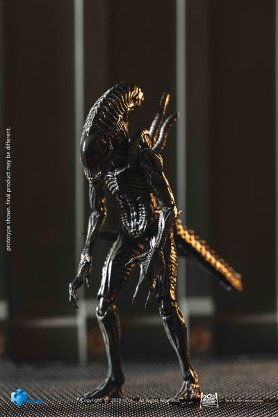 Hiya Toys AvP Alien vs Predator Requiem Xeno Warrior 1/18 Scale Figure