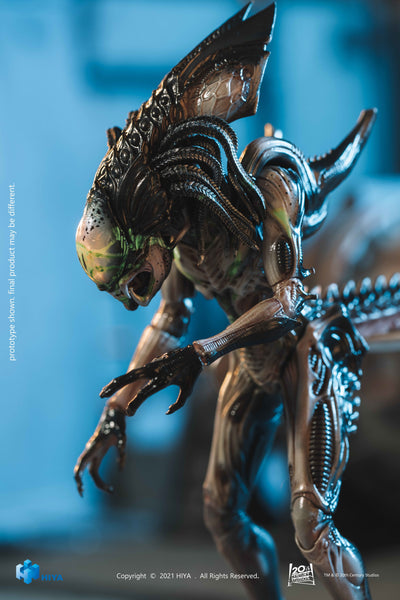 Hiya Toys AvP Aliens vs Predator Battle Damage Predalien 1/18 Scale Figure