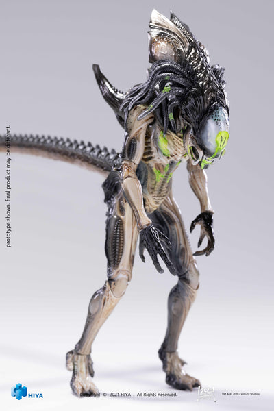 Hiya Toys AvP Aliens vs Predator Battle Damage Predalien 1/18 Scale Figure