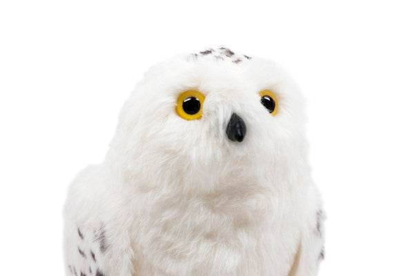 QMx Harry Potter Hedwig the Snowy Owl 8-Inch Plush, Popular Characters- Have a Blast Toys & Games